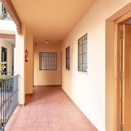 Carabeo 2000 Nº5 * 네르하