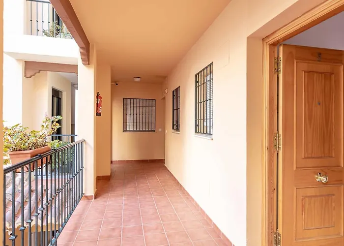 Carabeo 2000 Nº5 * 네르하